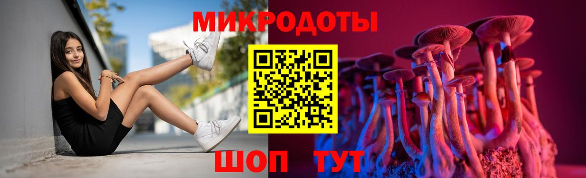 Псилоцибиновые грибы GOLDEN TEACHER Большой Камень